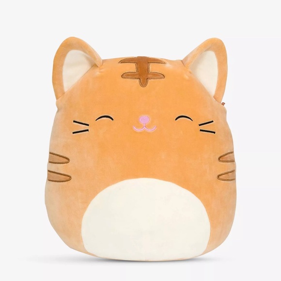 Squishmallows Other - Squishmallow Nathan The Tabby Cat